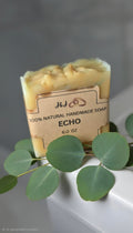 Echo